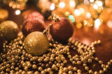holiday-holidays-brown-christmas-6300