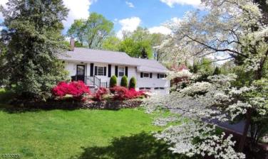 0000_413370506_medium